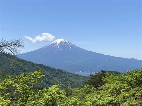 八山